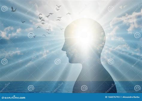 dreamstime.com free images